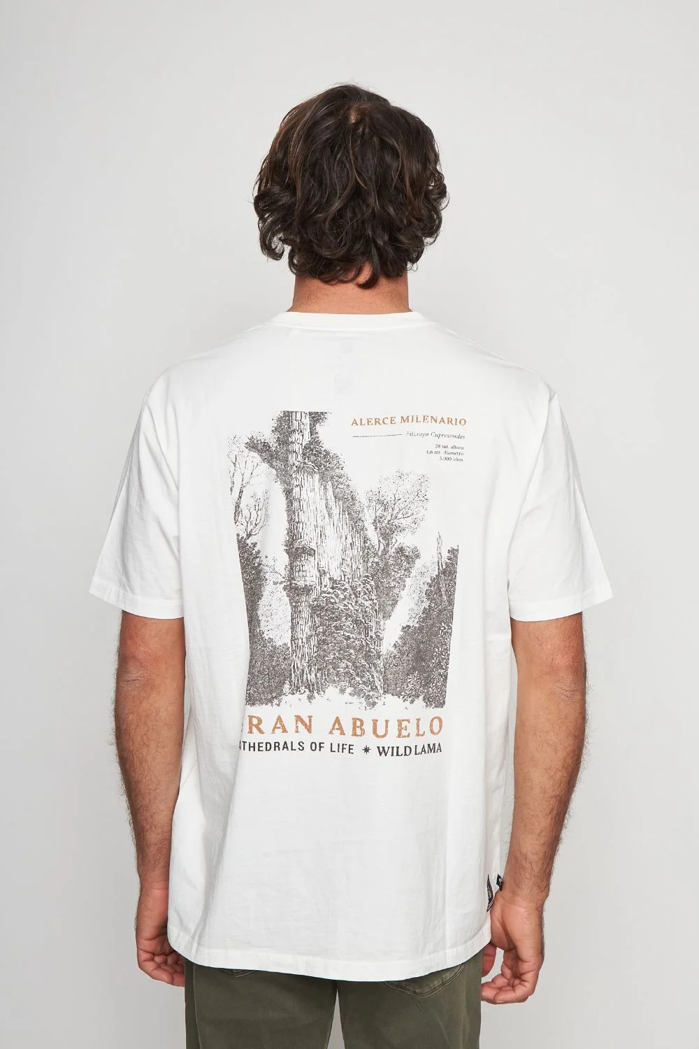 Polera Rolan Orgánica Blanca Hombre - Image 6