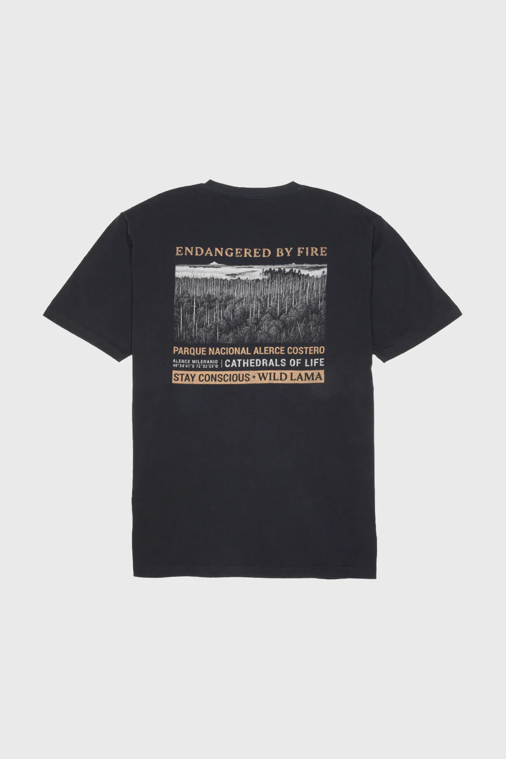 Polera Rolan Orgánica Negra Hombre - Image 9